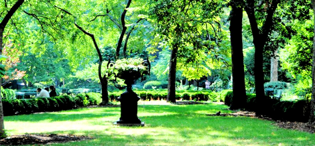 Giardini Segreti a Manhattan