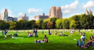 Central Park tra natura, sport e cultura